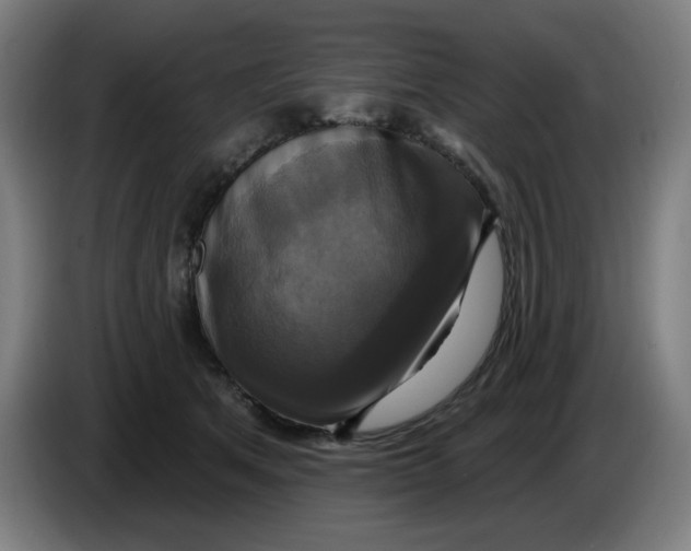 X0000086220513200704191741