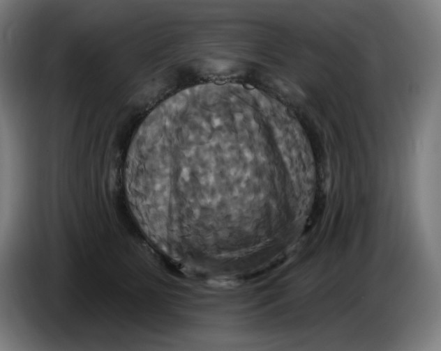 X0000086220515200704191741