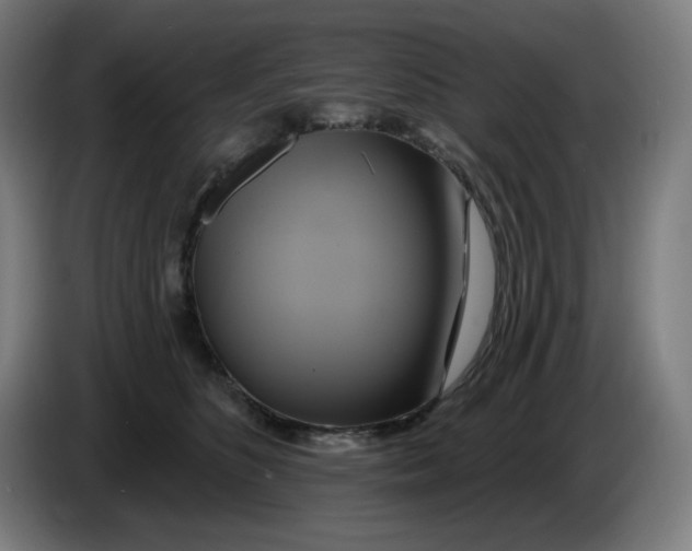 X0000086220516200704191741