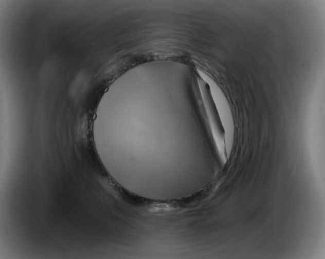 X0000086220519200704191741