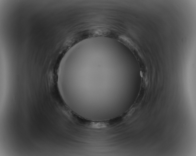 X0000086220520200704191741