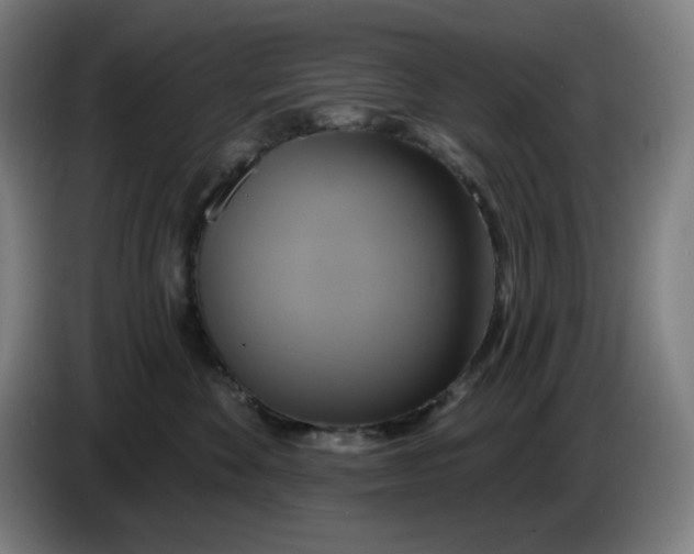 X0000086220524200704191741