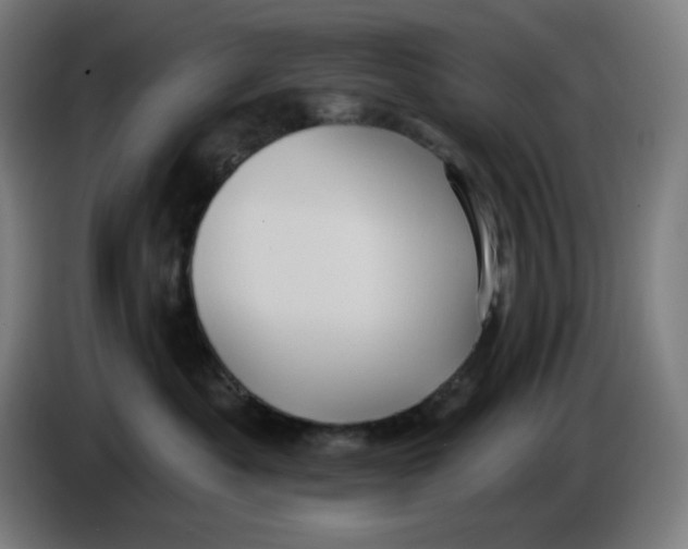 X0000086220525200704191741