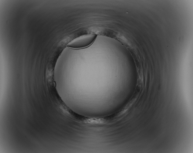 X0000086220526200704191741