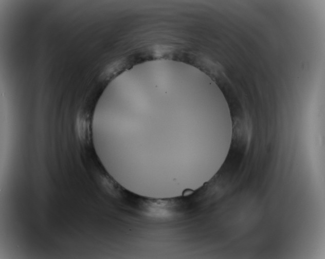 X0000086220527200704191741