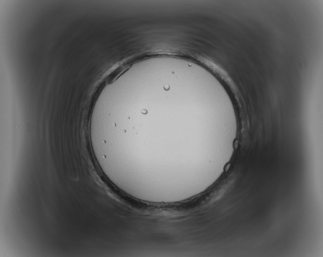 X0000086220529200704191740