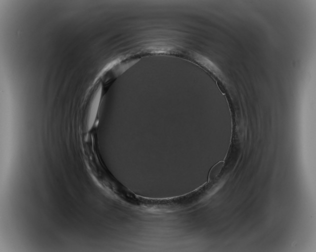 X0000086220530200704191740