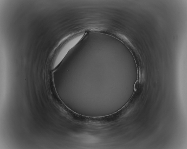 X0000086220531200704191740