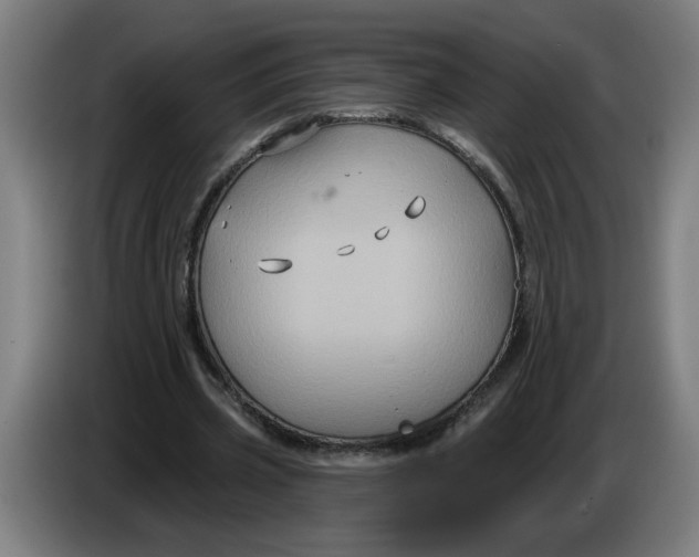 X0000086220533200704191740