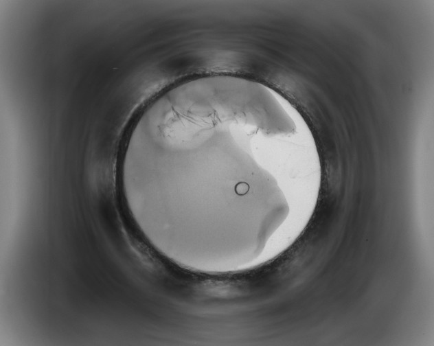 X0000086220534200704191740