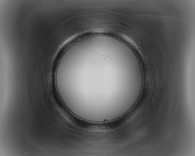 X0000086220535200704191740