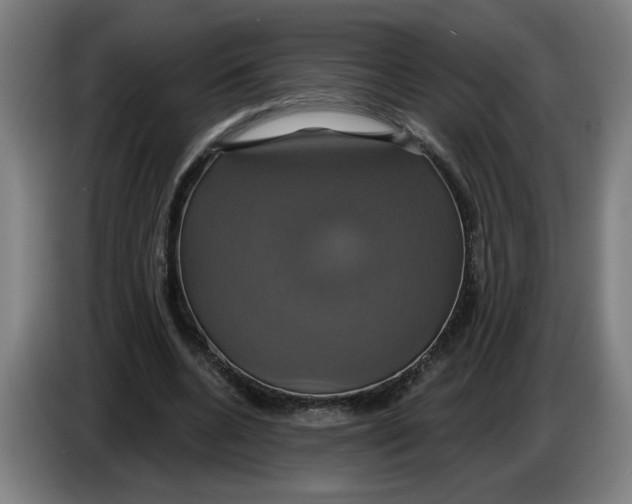 X0000086220536200704191740