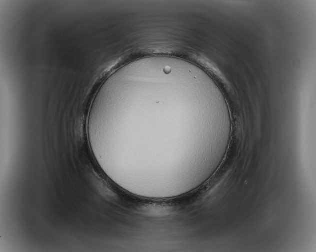 X0000086220537200704191740