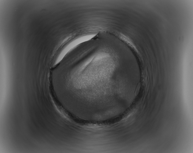 X0000086220538200704191740