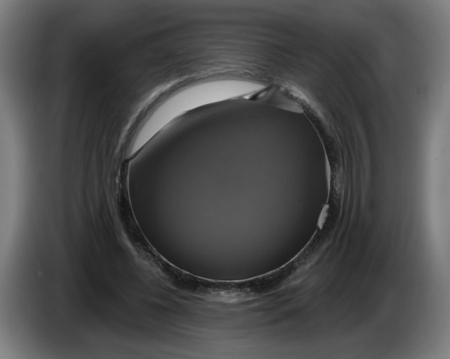 X0000086220540200704191740