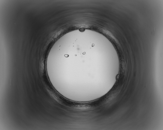 X0000086220541200704191740