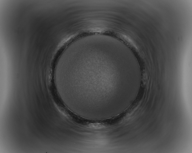 X0000086220544200704191740