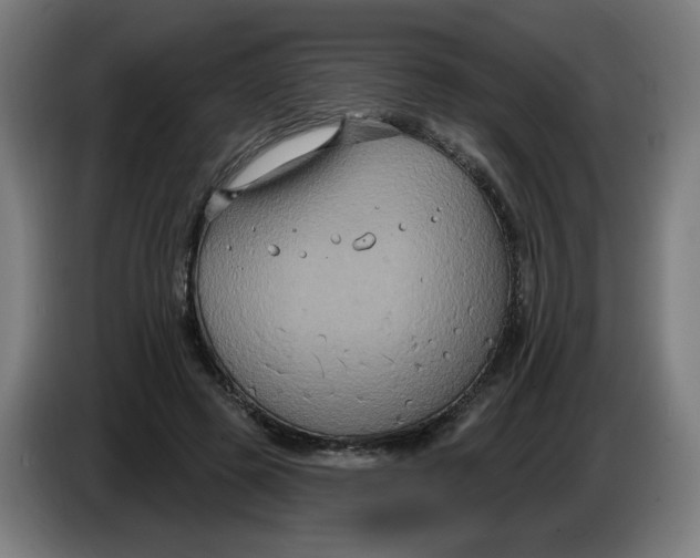 X0000086220545200704191740