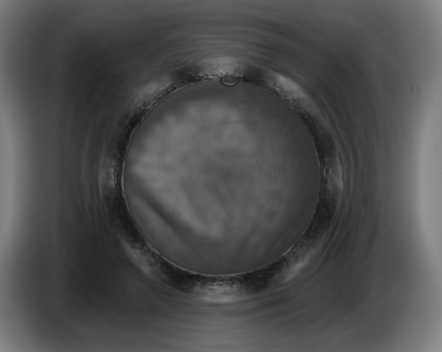 X0000086220546200704191740