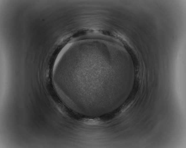 X0000086220548200704191740