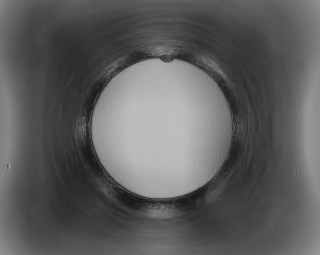 X0000086220549200704191740