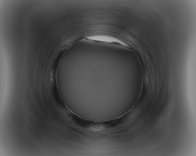 X0000086220551200704191740