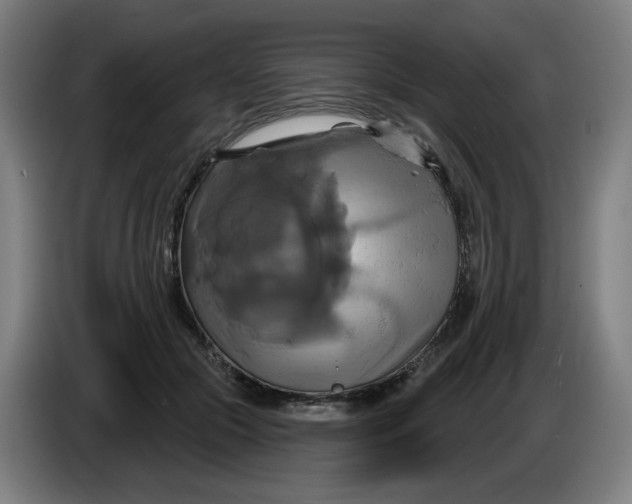 X0000086220553200704191741