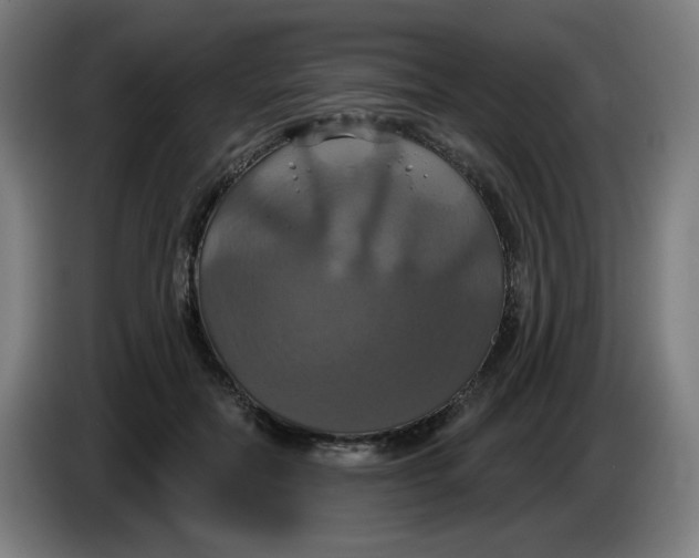 X0000086220554200704191741