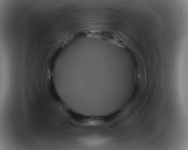 X0000086220555200704191741