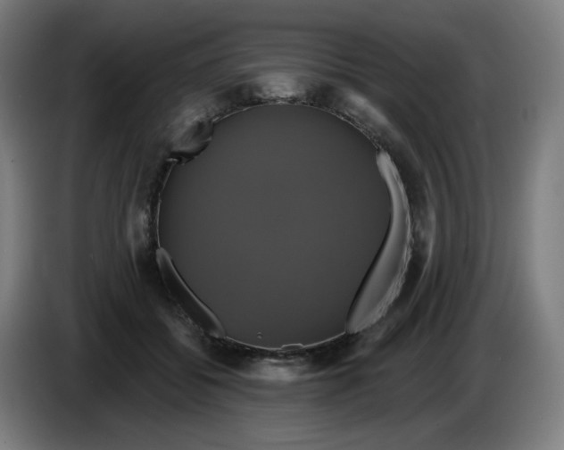 X0000086220556200704191741