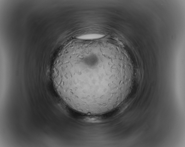 X0000086220557200704191741