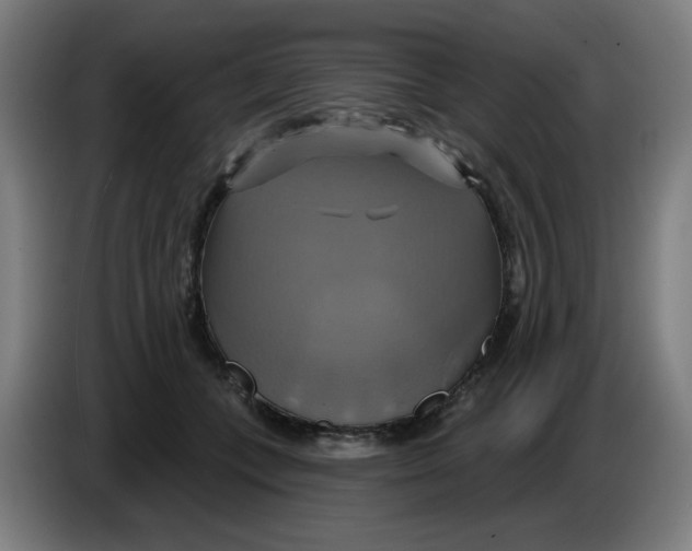 X0000086220559200704191741