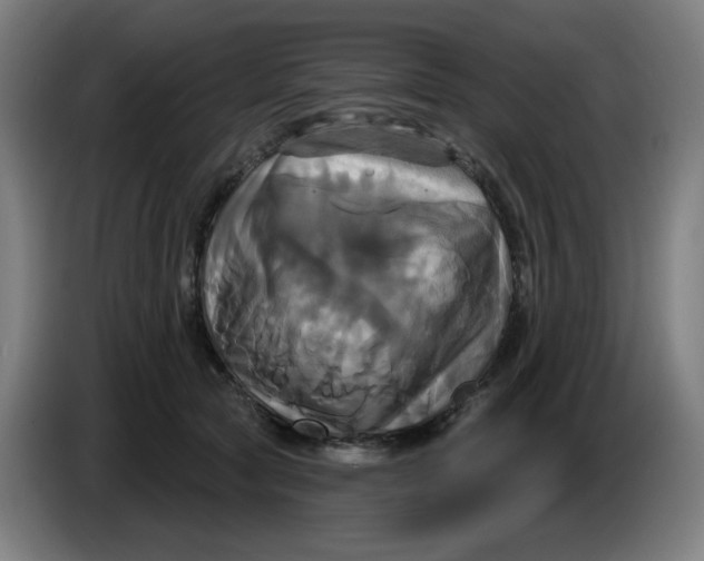 X0000086220561200704191741