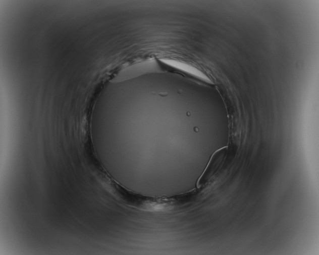 X0000086220563200704191741