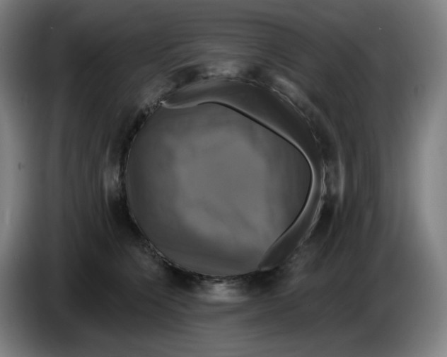 X0000086220564200704191741