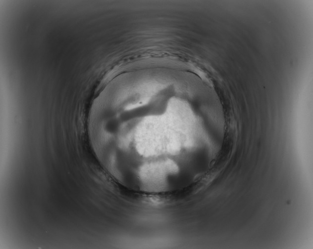 X0000086220565200704191741