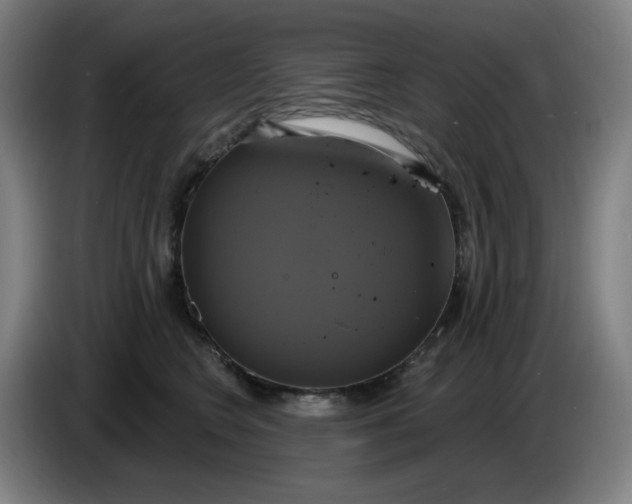 X0000086220566200704191741