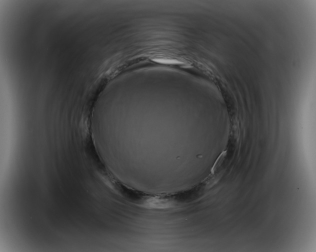 X0000086220568200704191741