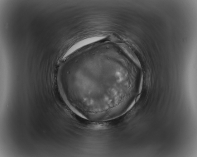 X0000086220569200704191741