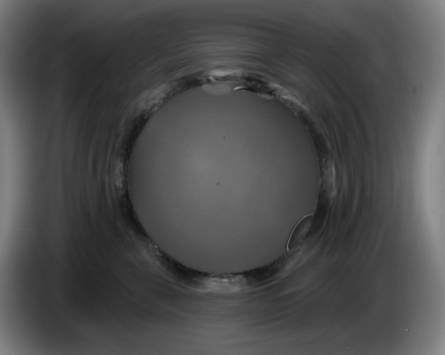 X0000086220571200704191741