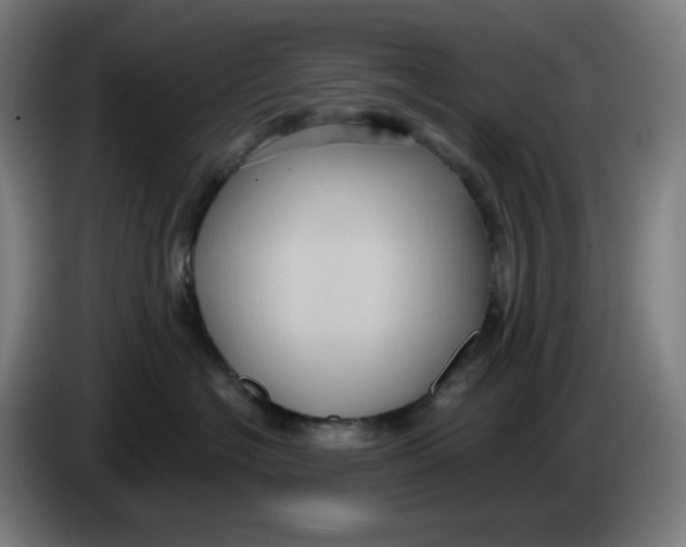 X0000086220574200704191741