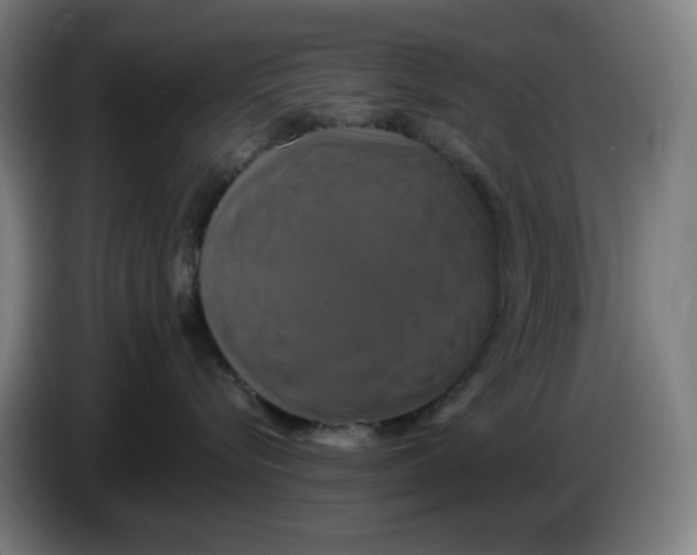 X0000086220576200704191741