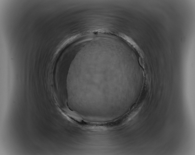 X0000086220577200704191740