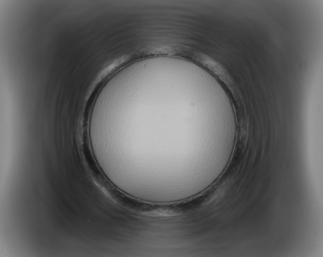 X0000086220578200704191740