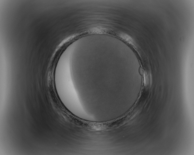 X0000086220579200704191740