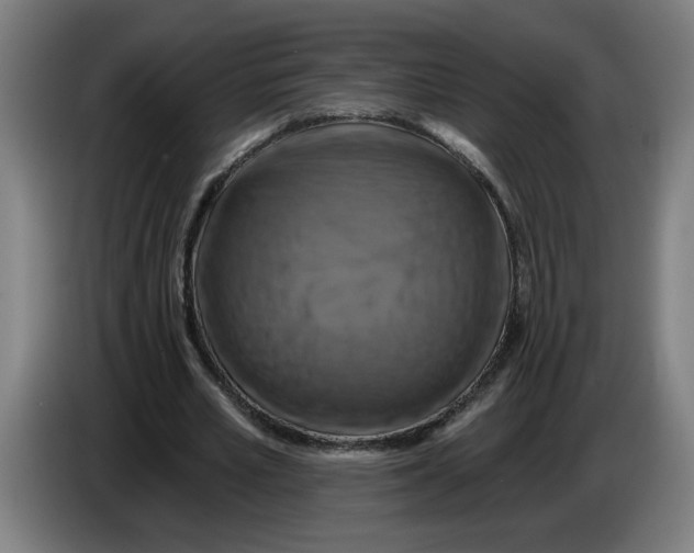 X0000086220581200704191740