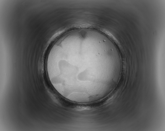 X0000086220582200704191740