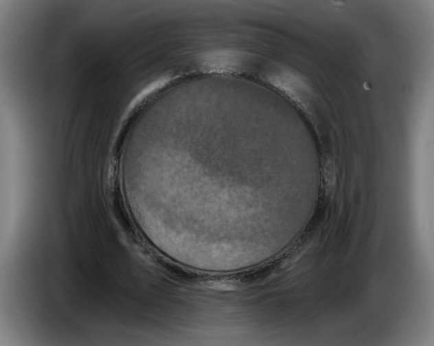 X0000086220583200704191740