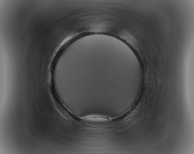 X0000086220584200704191740