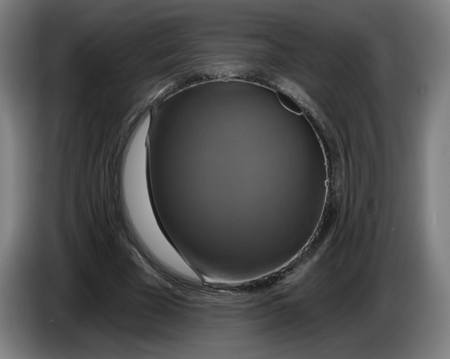 X0000086220585200704191740